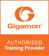 Gigamon